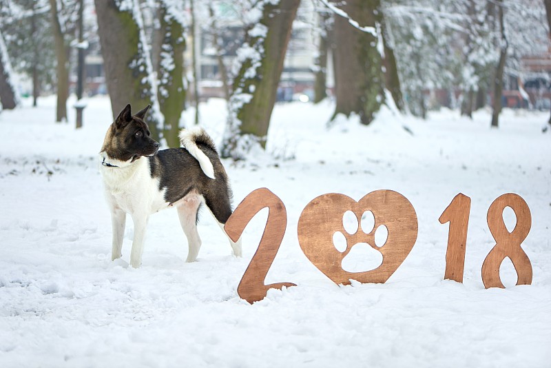 新年前夕,2018,贺卡,公园,新的,水平画幅,雪,传统,符号