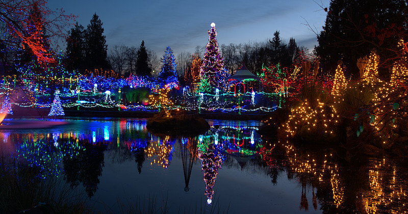 加拿大,圣诞小彩灯,传统节日,公园,水平画幅,林区,无人,圣诞树,灯具