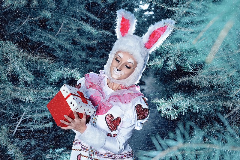 可爱的,兔子,美,彩妆,圣诞卡,外套,水平画幅,雪,新年