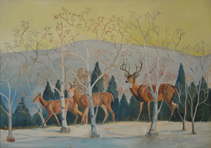 雪,鹿,森林,美,雄鹿,艺术,水平画幅,档案,无人