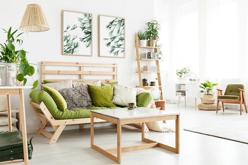 沙发,自然,绿色,公寓,留白,水平画幅,家具,明亮,居住区,开着的