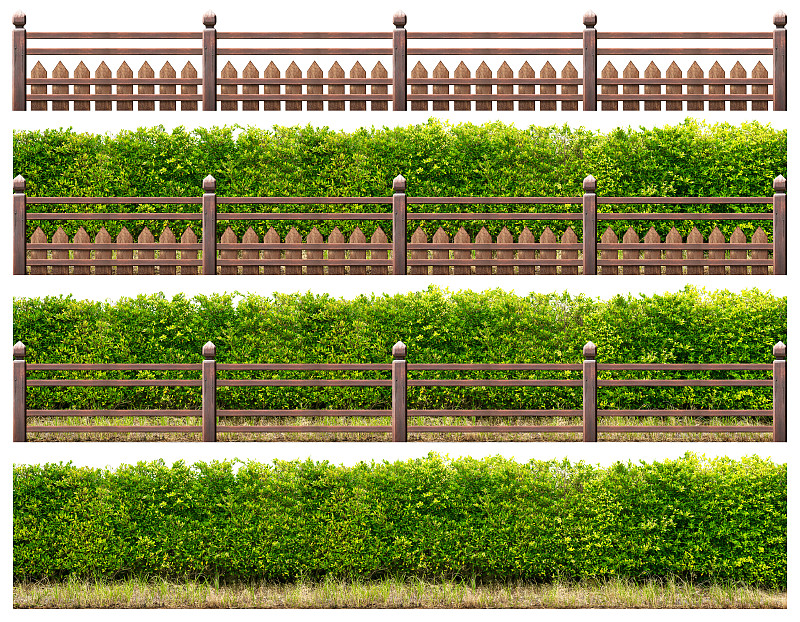 篱笆,树篱,木制,绿色,水平画幅,枝繁叶茂,无人,组物体,草,泰国