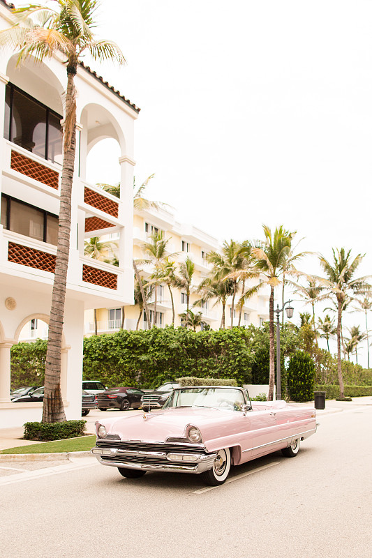 光,老爷车,粉色,华贵,林荫路,垂直画幅,风,棕榈沙滩镇,古老的,古典式