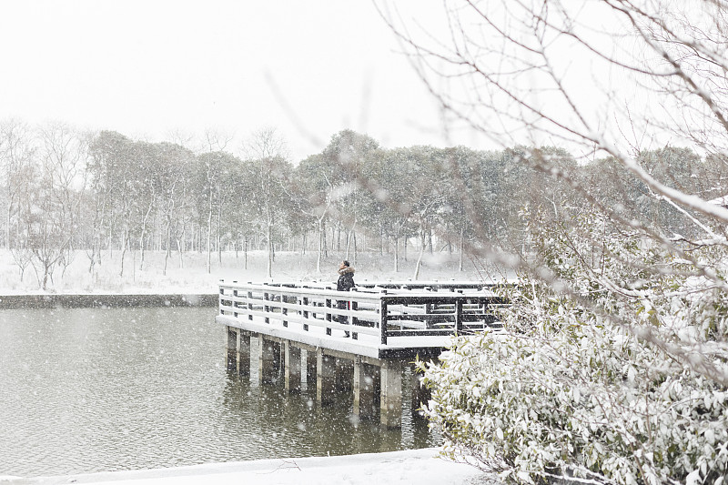 雪,桥,仅一个女人,木制,宁静,水,天空,美,公园,水平画幅