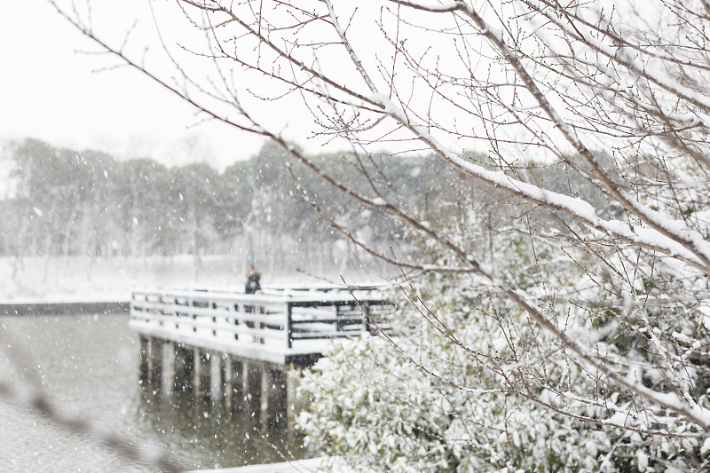雪,桥,仅一个女人,木制,宁静,水,天空,美,公园,水平画幅