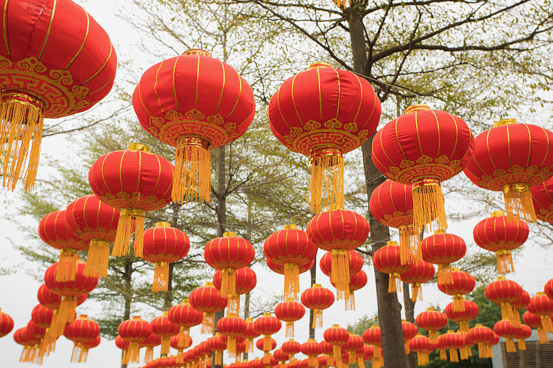 灯笼,公园,春节,红色,广东省,中国元宵节,深圳,中国灯笼,悬挂的,圣诞装饰