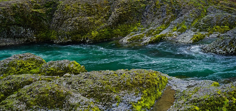 巴斯河,水,俄勒冈州,俄勒冈郡,美国,水平画幅,无人,全景,苔藓,原野