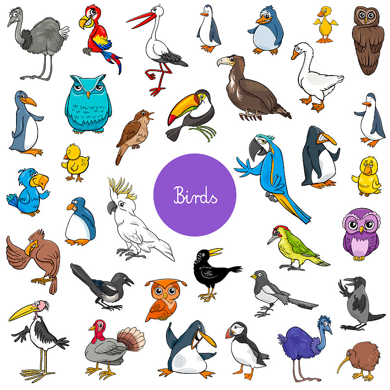 鸟类,巨大的,性格,卡通,动物,绘画插图,大乌鸦,企鹅,计算机制图,计算机图形学