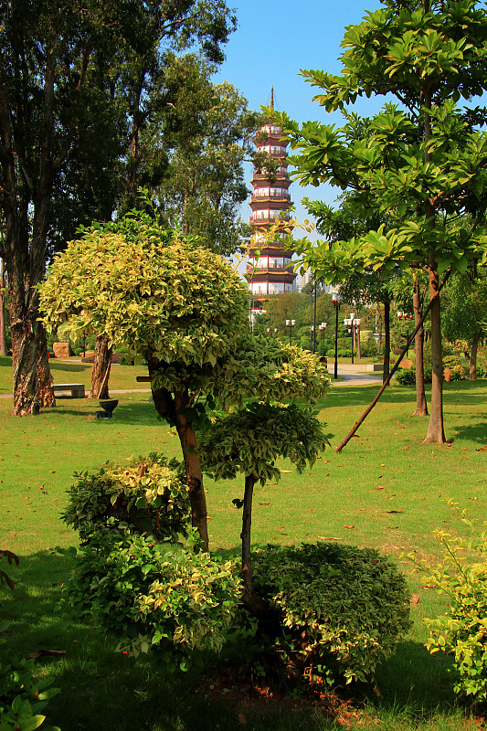 寺庙,宝塔,榕树,数字6,边框,菩提树,时间,户外,都市风景,现代