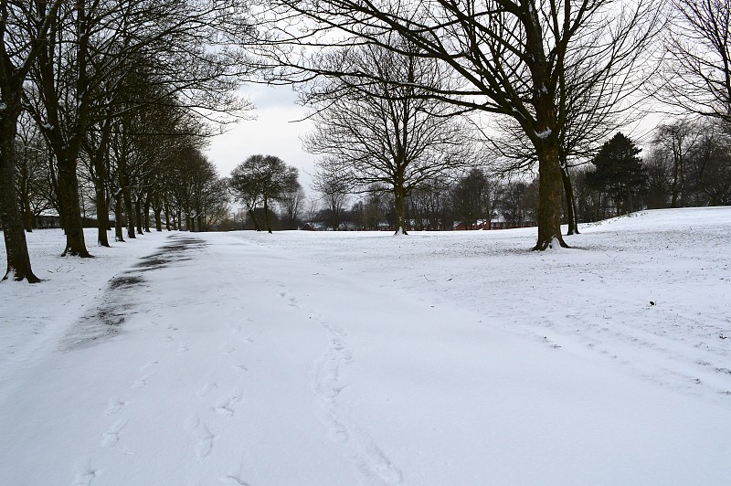 雪,冬天,公园,寒冷,水平画幅,地形,大曼彻斯特,无人,户外,冻结的