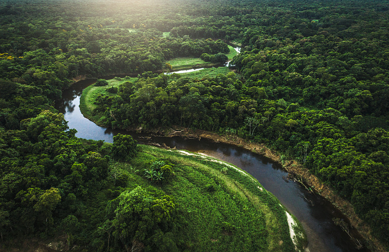巴西,mata,atlantica,大西洋,森林,南美,水,流域保护区,美洲,湖,巴拉圭