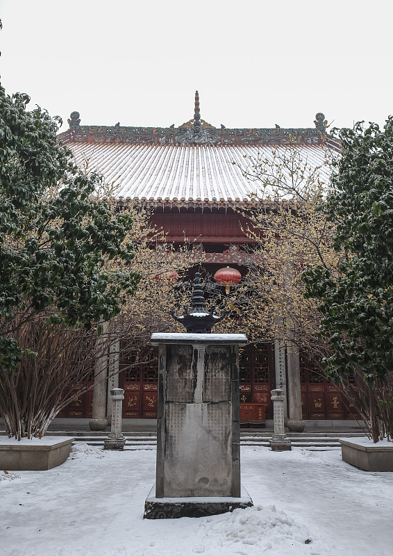 寺庙,远古的,长沙,湖南省,垂直画幅,天空,禅宗,荷花,素食,雪