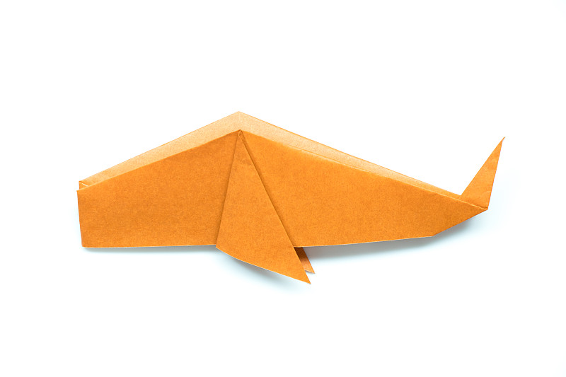 形状,鱼类,橙色,折纸工艺,鲸,纸,白色背景,水,艺术,水平画幅