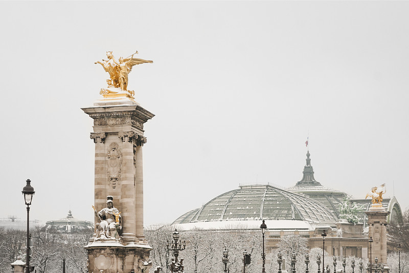 巴黎,雪,在下面,小宫殿,协和广场,亚历山大三世桥,落地灯,画廊,塞纳河,涂层