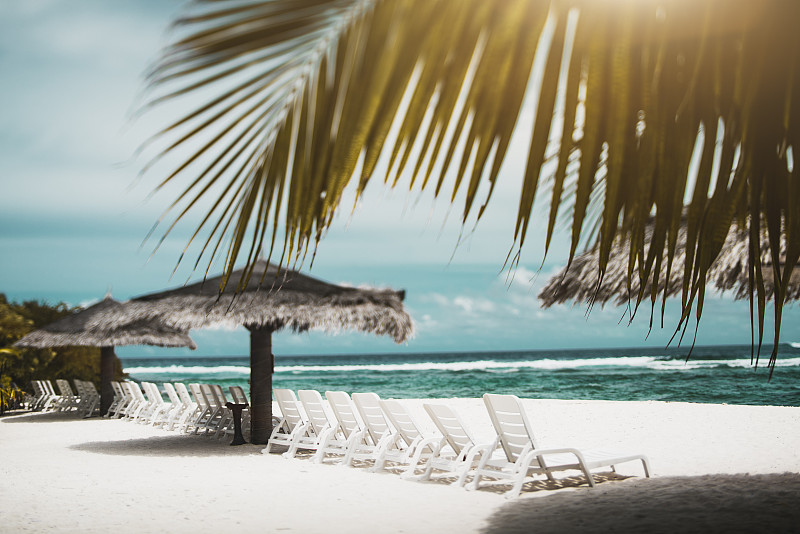 棕榈树,海滩,海洋,躺椅,遮阳伞,风景,天空,长椅,度假胜地,沙子