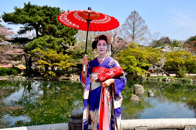 Japanese,Woman,in,Maiko’s,Costume,and,Hairstyle,Enjoying,Kyoto’s,Spring