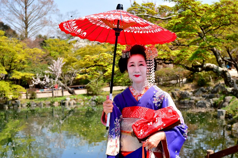 Japanese,Woman,in,Maiko’s,Costume,and,Hairstyle,Enjoying,Kyoto’s,Spring