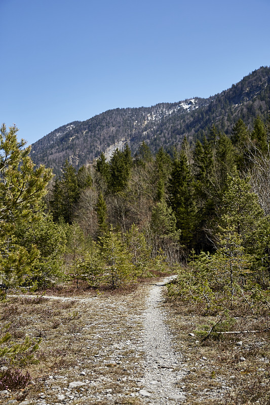 Alpine,Landschaft,im,Frühling–,Stockfoto