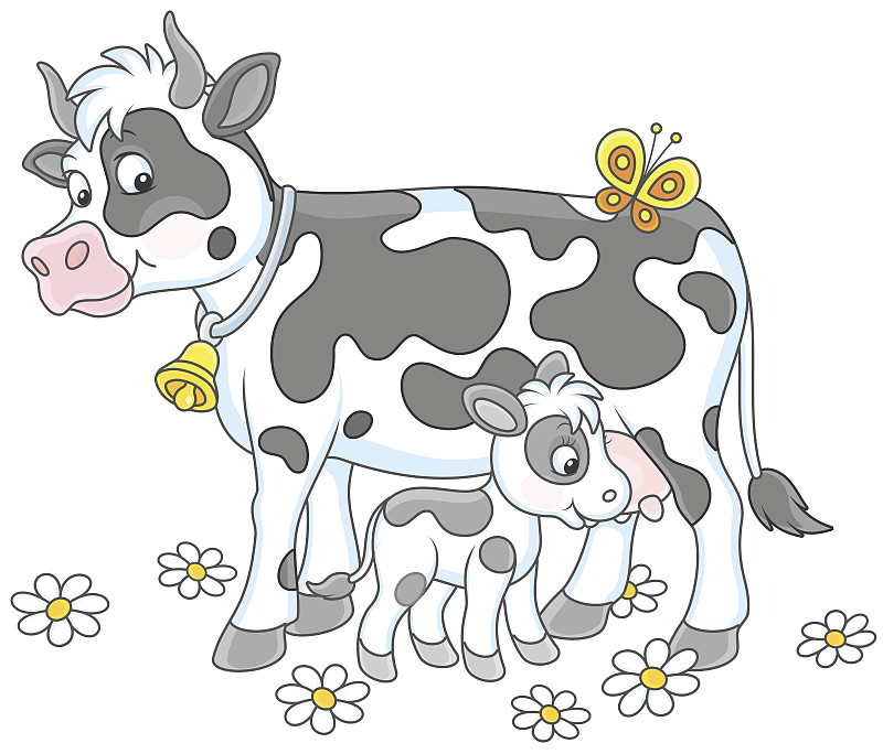 斑点,小的,小牛,母牛,水平画幅,绘画插图,卡通,饮料,俄罗斯,哺乳纲