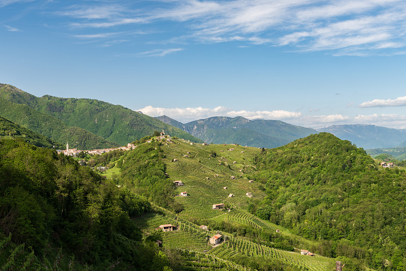 普罗赛柯起泡酒,陆地,葡萄酒厂,威尼托大区,水平画幅,山,无人,特雷维索,户外,豇豆