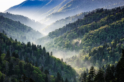 山谷