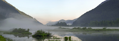 沼泽