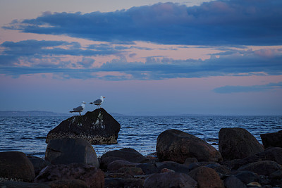海景
