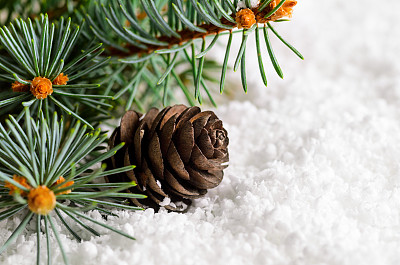 雪花