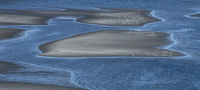 沙洲