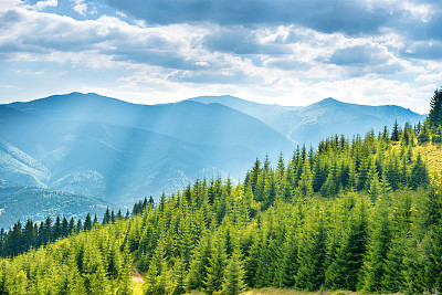 山