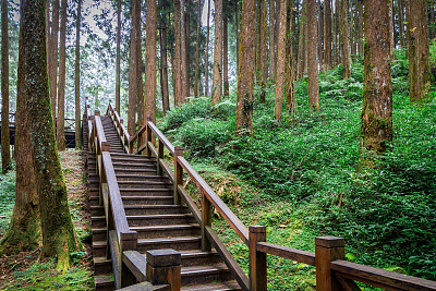 山