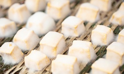 豆腐乳