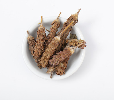 夏枯草