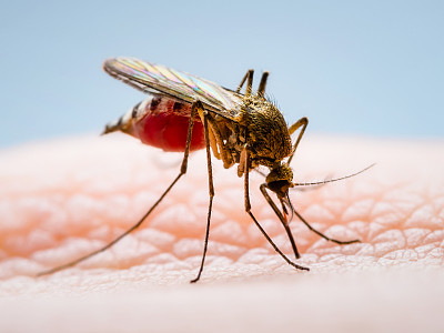 生物学