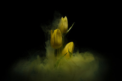 开花的