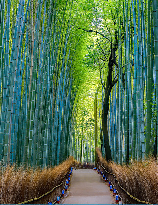 旅途