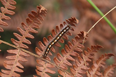生物学