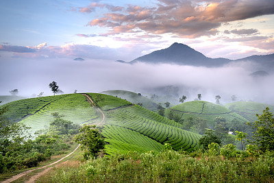 山