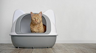 猫砂盆