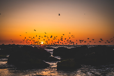 海滩