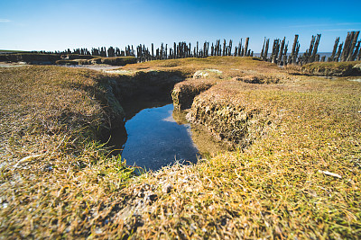 沙洲
