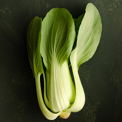 牛皮菜