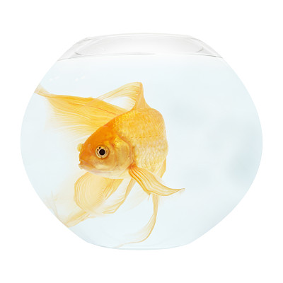 鱼缸