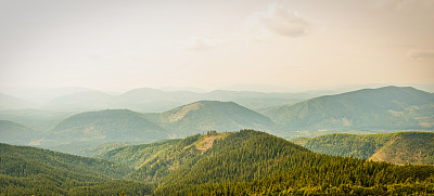 山