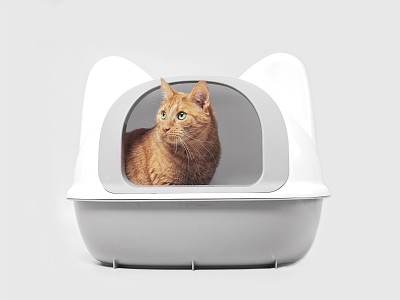 猫砂盆