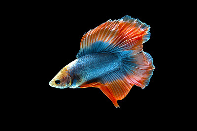 生物学
