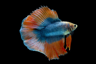 生物学