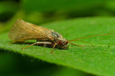 生物学