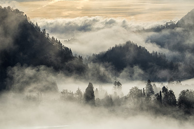 山