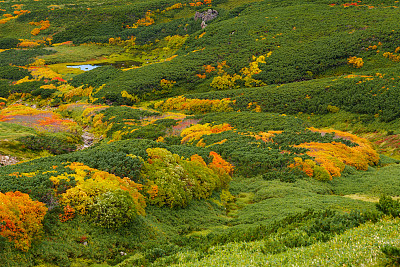 日本北海道，朝日的秋色